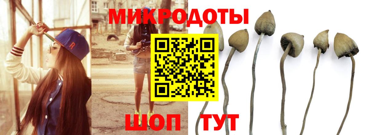 где купить наркоту  Галлюциногенные грибы MAGIC MUSHROOMS  Вход с VPN  Галлюциногенные грибы мицелий  Новотроицк 